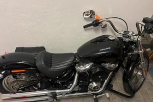 HD SOFTAIL STANDARD FXST 107