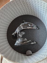 Delfino Swarovski