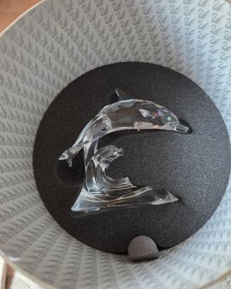 Delfino Swarovski