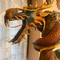 Drago per palestre o altri ambienti