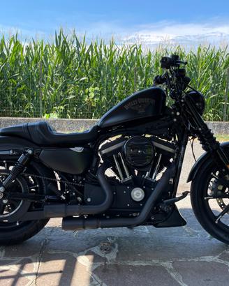 Harley Davidson XL 883 N Sportster Iron 2016