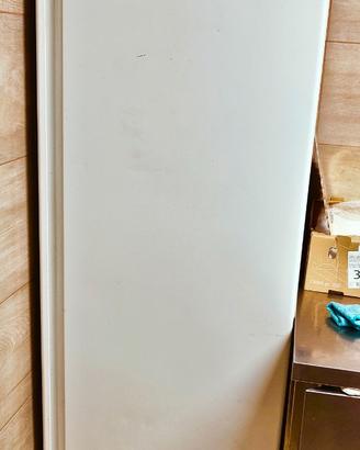 Congelatore a colonna