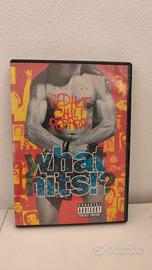 BEST OF RED HOT CHILI PEPPERS what hits!? DVD