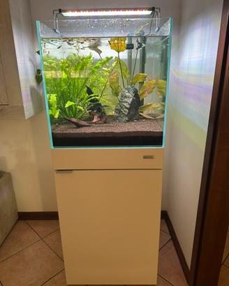 Acquario 120 litri