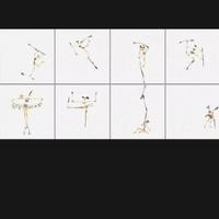 CERAMICA BARDELLI CHEF Piastrelle