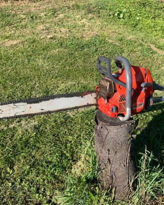 Motosega da abbattimento efco mt6500