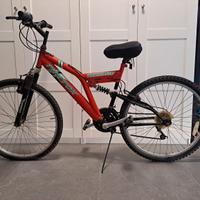 Bicicletta mountain bike