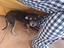Immagine 1