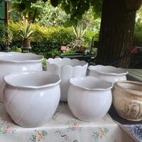 vasi in ceramica bianca