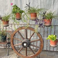 Ruota giardino fioriera portavasi