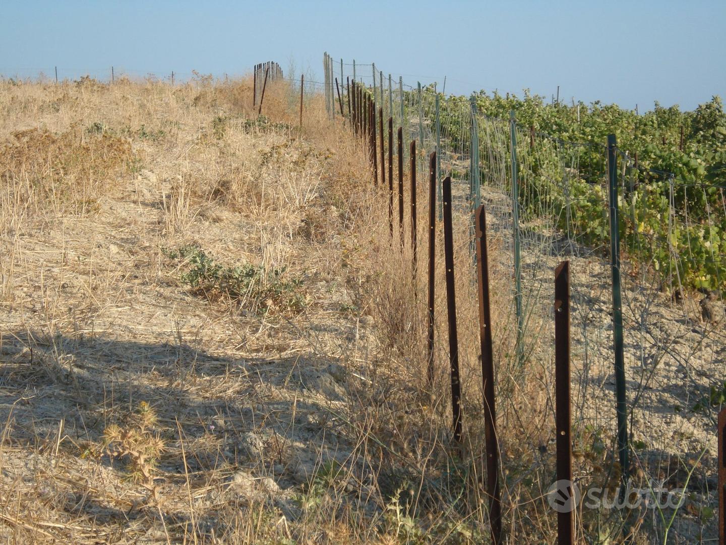 Terreno agricolo Monserrato - Vista 2