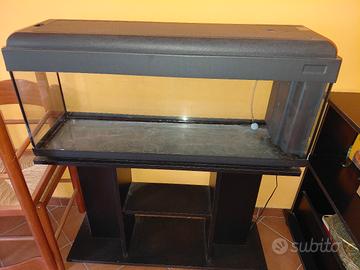 Acquario 100l
