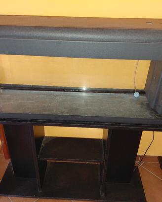 Acquario 100l