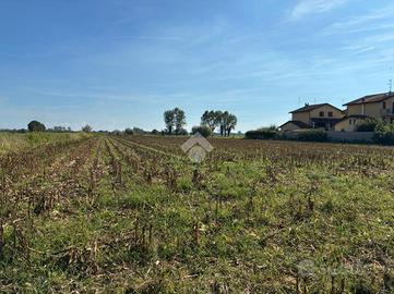 TER. AGRICOLO A CORBETTA
