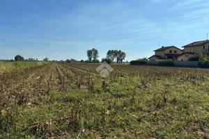 TER. AGRICOLO A CORBETTA