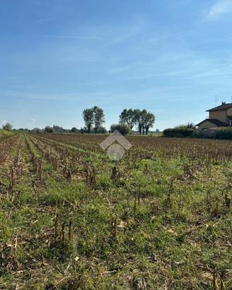TER. AGRICOLO A CORBETTA