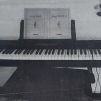 Pianoforte digitale casio cdp 200r