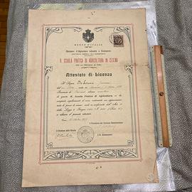 Cesena scuola pratica agricoltura 190 Diploma