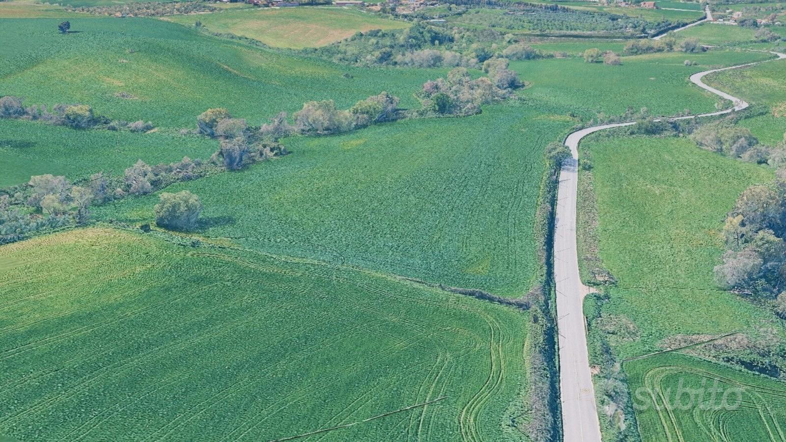 Terreno agricolo 4 ettari fronte strada - Vista 4