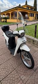 Askoll ngs1
