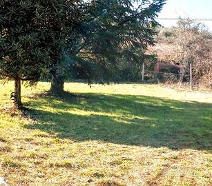 Taglio erba parchi, giardini, terreni, giardiniere