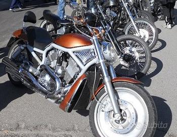 Harley Davidson V Rod