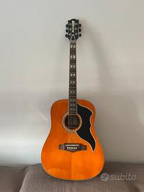 Chitarra acustica Eko ranger VI VR