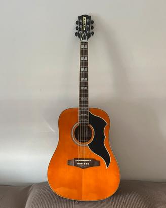 Chitarra acustica Eko ranger VI VR