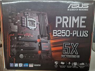 Scheda Madre Asus PRIME B250-PLUS 90MB0SJ0-M0EAY0