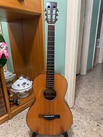 Ibanez AVN9SPENT – Chitarra acustica