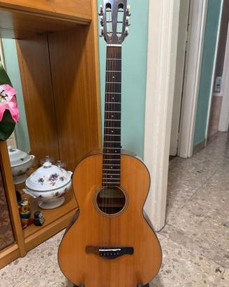Ibanez AVN9SPENT – Chitarra acustica