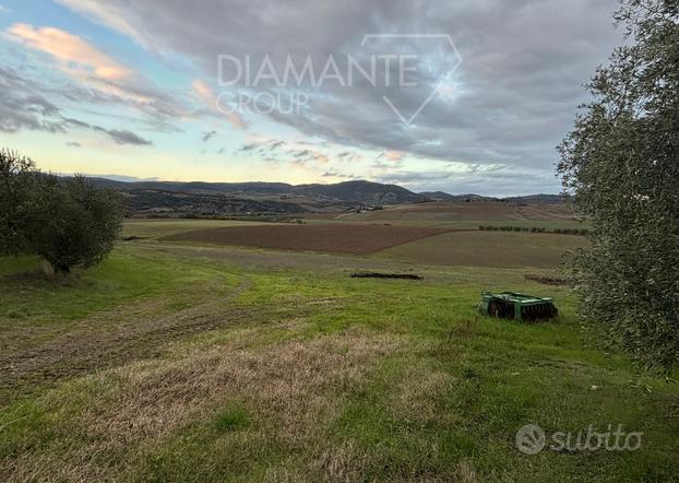 Azienda vitivinicola di 13 Ha e porzione di casale