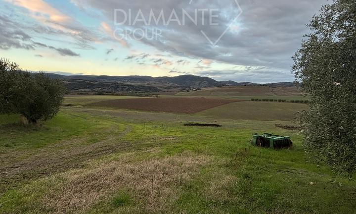 Azienda vitivinicola di 13 Ha e porzione di casale