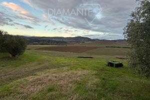 Azienda vitivinicola di 13 Ha e porzione di casale