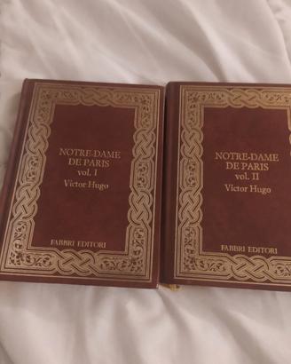Notte - Dame de Paris -Victor Hugo (Vol. 1 e 2 )-