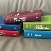 Manuali Ipsoa anno 2024 (contabilità 2013)