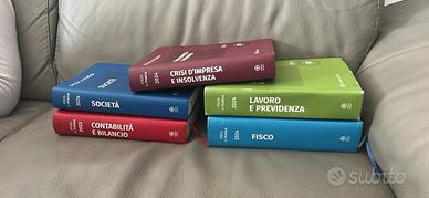 Manuali Ipsoa anno 2024 (contabilità 2013)