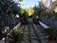 Immagine 10