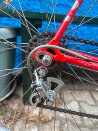 bottecchia vintage per appassionati 