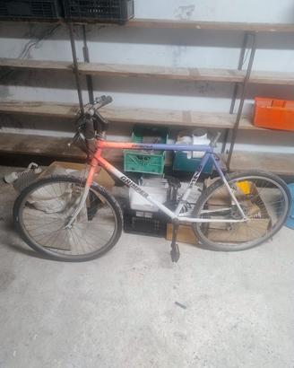  Biciclette da sistemare 