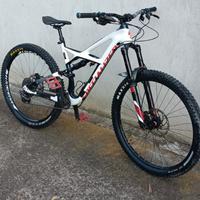 specialized enduro Expert 