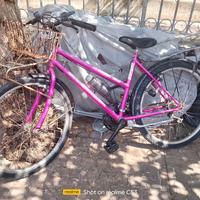 bicicletta 