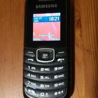 cellulare Samsung GT E1080W