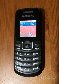 cellulare Samsung GT E1080W