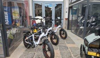 Bici Elettrica ZT-89A Folding Etna
