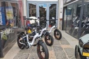 Bici Elettrica ZT-89A Folding Etna