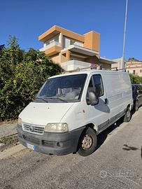 FIATO DUCAT