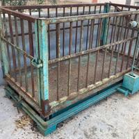 Bilancia per animali