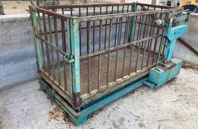 Bilancia per animali