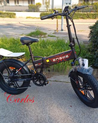 Bici elettrica ENGUIE EP-2 pro 250w/750w omologata